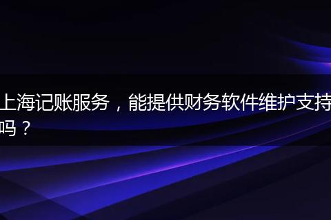 上海记账服务，能提供财务软件维护支持吗？