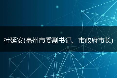 杜延安(亳州市委副书记、市政府市长)