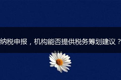 纳税申报，机构能否提供税务筹划建议？