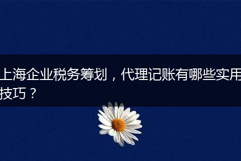上海企业税务筹划，代理记账有哪些实用技巧？
