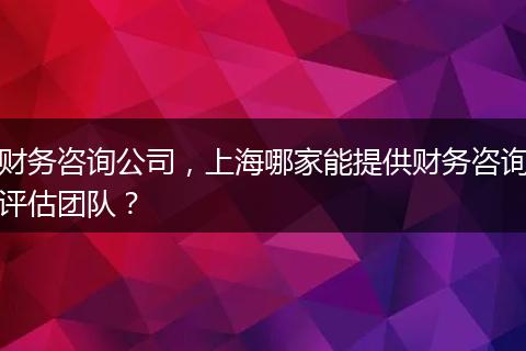 财务咨询公司，上海哪家能提供财务咨询评估团队？