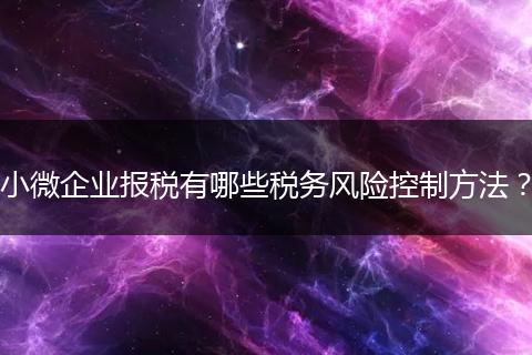 小微企业报税有哪些税务风险控制方法？