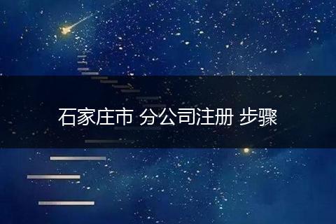石家庄市 分公司注册 步骤
