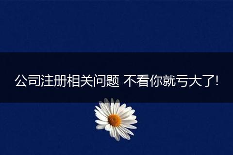 公司注册相关问题 不看你就亏大了!