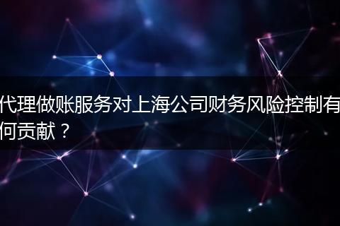代理做账服务对上海公司财务风险控制有何贡献？