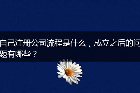 自己注册公司流程是什么，成立之后的问题有哪些？