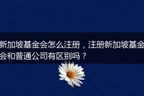 新加坡基金会怎么注册,注册新加坡基金会和普通公司有区别吗?