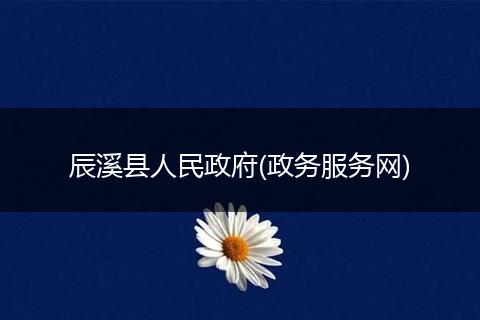 辰溪县人民政府(政务服务网)