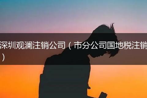深圳观澜注销公司(市分公司国地税注销)