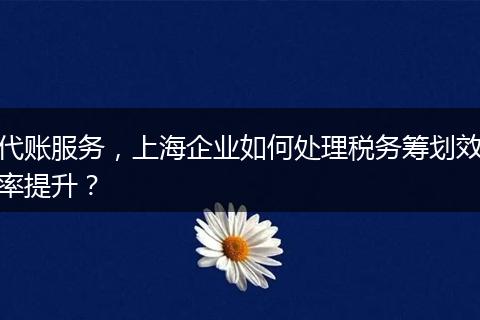 代账服务，上海企业如何处理税务筹划效率提升？