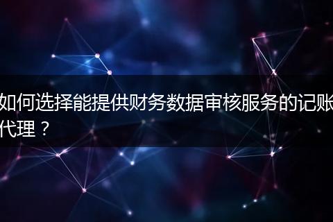 如何选择能提供财务数据审核服务的记账代理？