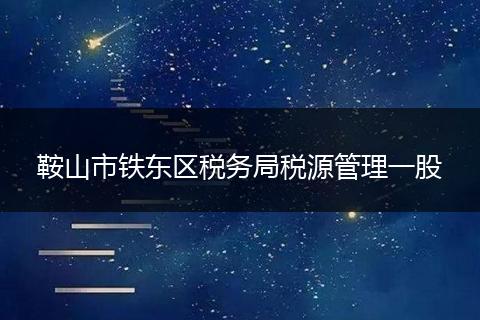 鞍山市铁东区税务局税源管理一股