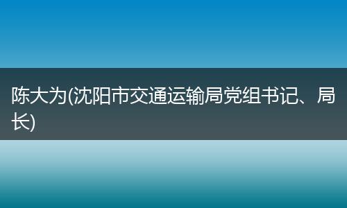 陈大为(沈阳市交通运输局党组书记、局长)