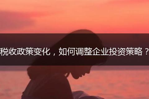 税收政策变化，如何调整企业投资策略？