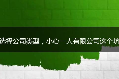 选择公司类型，小心一人有限公司这个坑