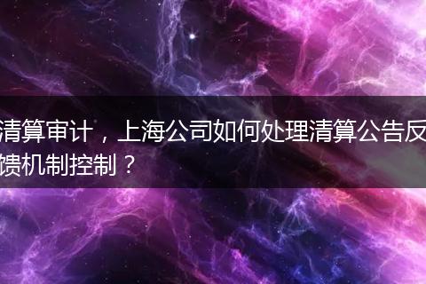 清算审计，上海公司如何处理清算公告反馈机制控制？