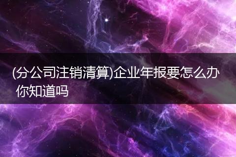 (分公司注销清算)企业年报要怎么办 你知道吗