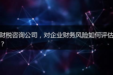 财税咨询公司，对企业财务风险如何评估？