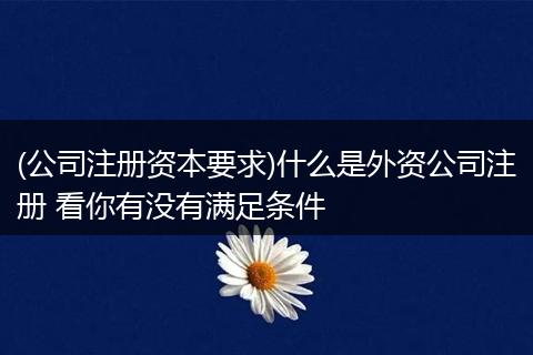 (公司注册资本要求)什么是外资公司注册 看你有没有满足条件