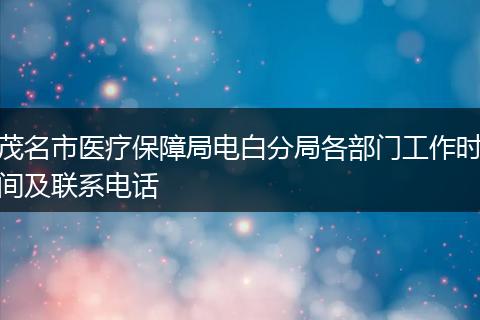 茂名市医疗保障局电白分局各部门工作时间及联系电话