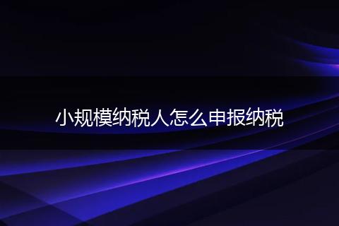 小规模纳税人怎么申报纳税
