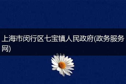 上海市闵行区七宝镇人民政府(政务服务网)
