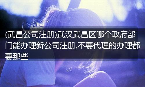 (武昌公司注册)武汉武昌区哪个政府部门能办理新公司注册,不要代理的办理都要那些