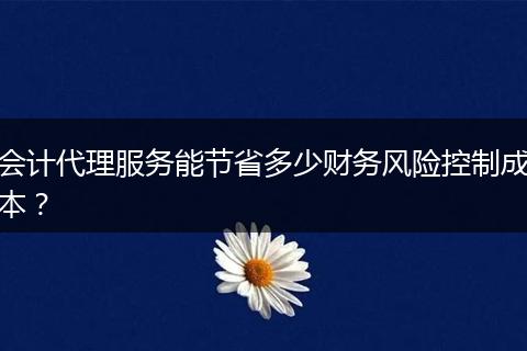 会计代理服务能节省多少财务风险控制成本？