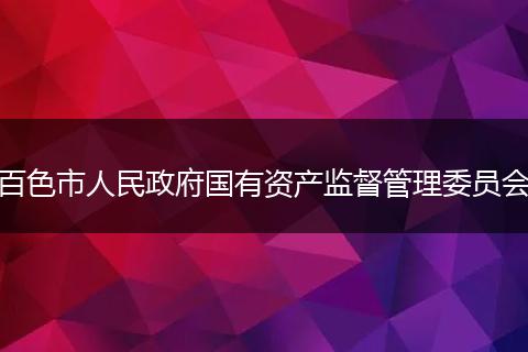 百色市人民政府国有资产监督管理委员会