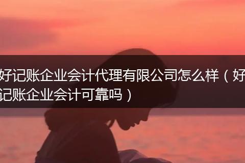 好记账企业会计代理有限公司怎么样（好记账企业会计可靠吗）