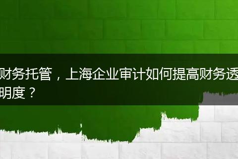 财务托管，上海企业审计如何提高财务透明度？