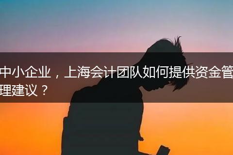 中小企业，上海会计团队如何提供资金管理建议？