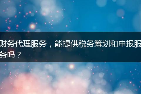 财务代理服务，能提供税务筹划和申报服务吗？