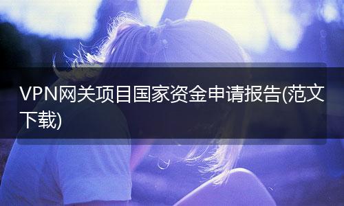 VPN网关项目国家资金申请报告(范文下载)