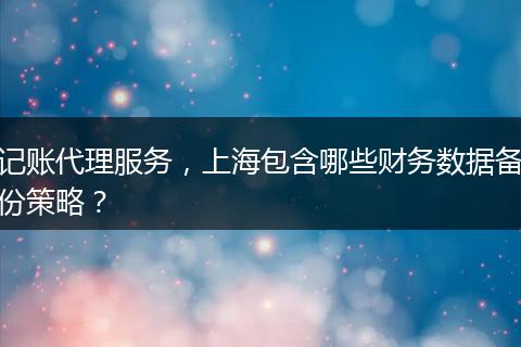 记账代理服务，上海包含哪些财务数据备份策略？