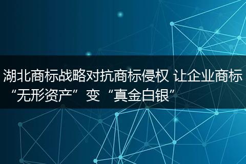 湖北商标战略对抗商标侵权 让企业商标“无形资产”变“真金白银”