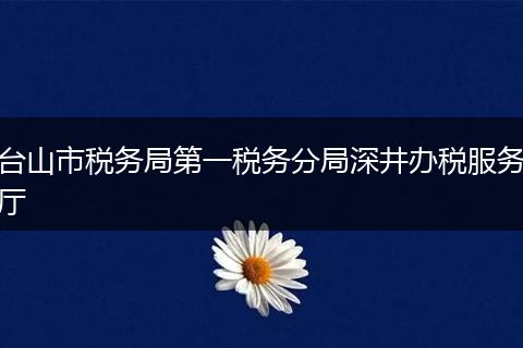 台山市税务局第一税务分局深井办税服务厅