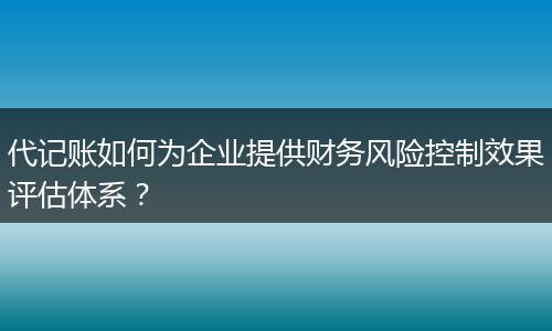 代记账如何为企业提供财务风险控制效果评估体系？