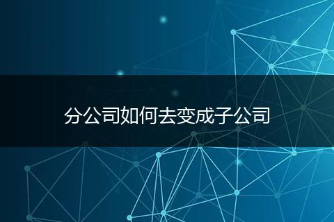 分公司如何去变成子公司