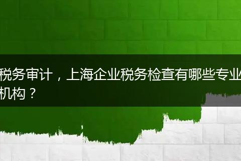税务审计，上海企业税务检查有哪些专业机构？