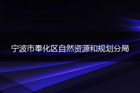 宁波市奉化区自然资源和规划分局