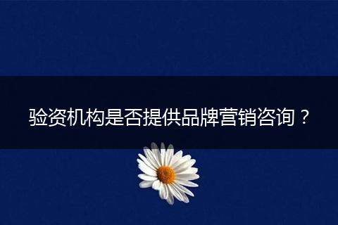 验资机构是否提供品牌营销咨询？
