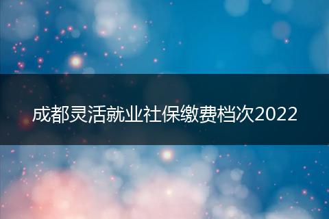 成都灵活就业社保缴费档次2022
