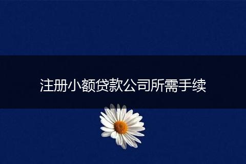 注册小额贷款公司所需手续