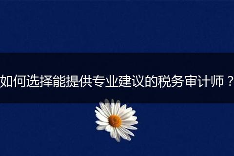 如何选择能提供专业建议的税务审计师？