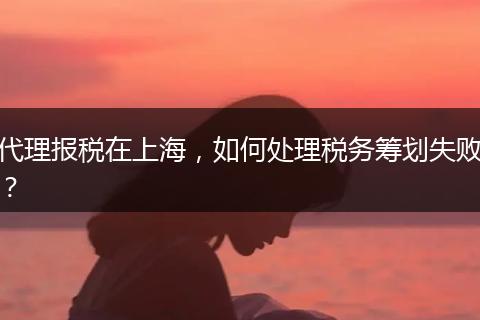 代理报税在上海，如何处理税务筹划失败？