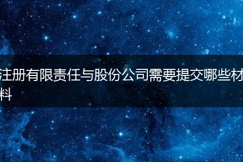 注册有限责任与股份公司需要提交哪些材料