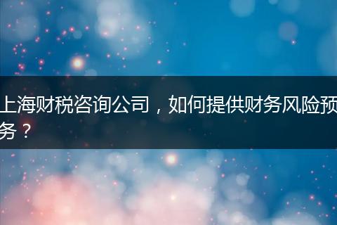 上海财税咨询公司，如何提供财务风险预务？