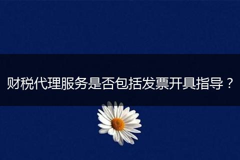 财税代理服务是否包括发票开具指导？