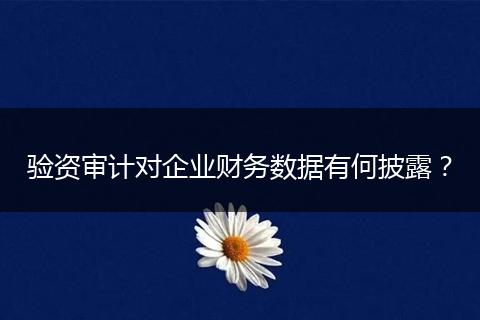 验资审计对企业财务数据有何披露？